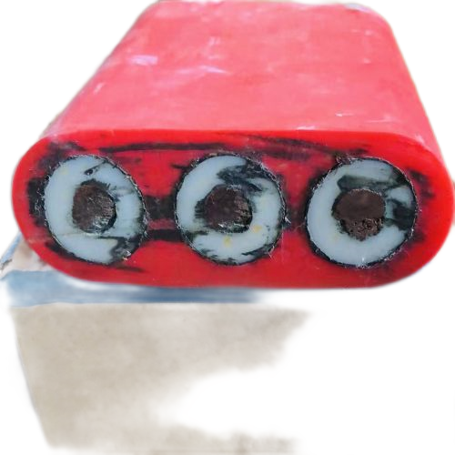 ����max(�й���)���޹�˾����