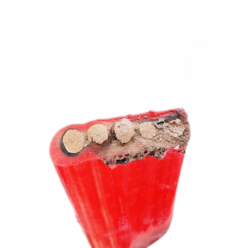 ����max(�й���)���޹�˾����