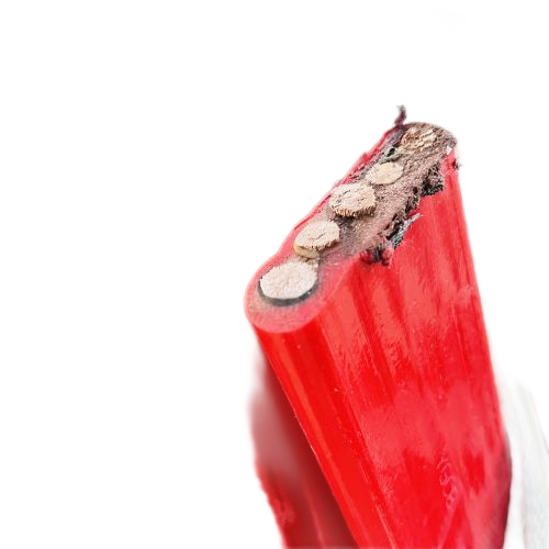 ����max(�й���)���޹�˾����