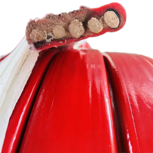 ����max(�й���)���޹�˾����