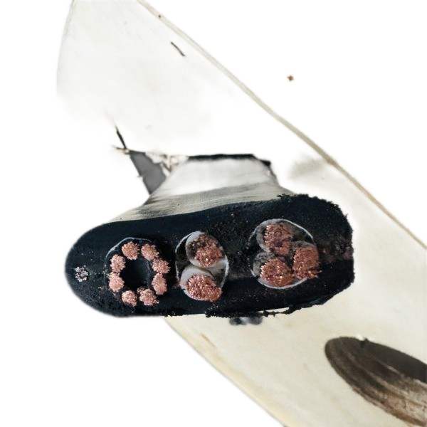 ����max(�й���)���޹�˾����