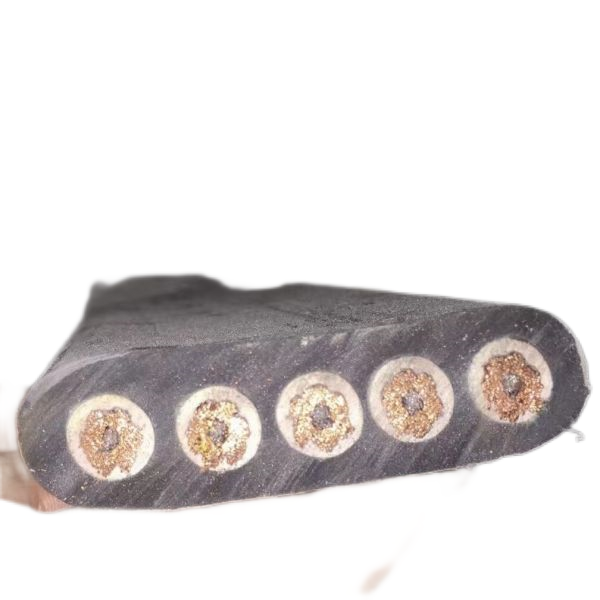 ����max(�й���)���޹�˾����