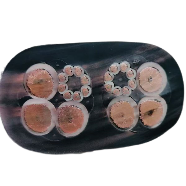 ����max(�й���)���޹�˾����