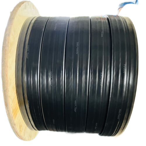 ����max(�й���)���޹�˾����