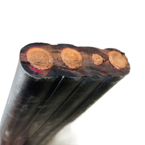 ����max(�й���)���޹�˾����