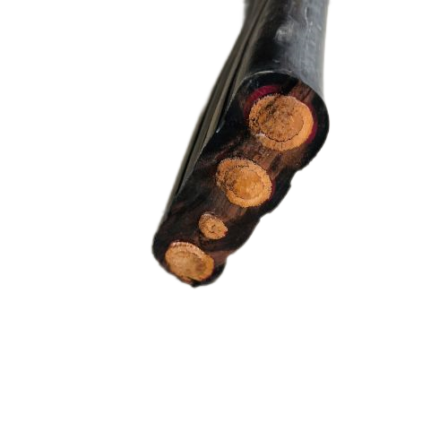 ����max(�й���)���޹�˾����