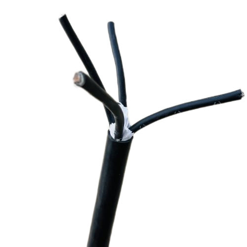 ����max(�й���)���޹�˾����