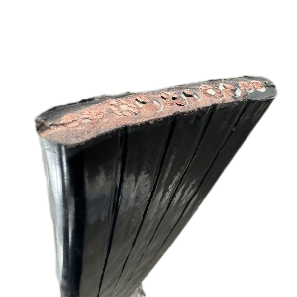 ����max(�й���)���޹�˾����