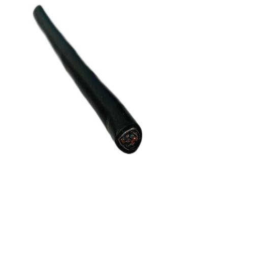 ����max(�й���)���޹�˾����