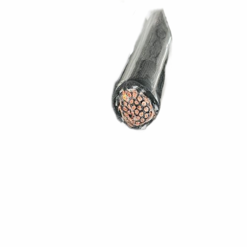 ����max(�й���)���޹�˾����