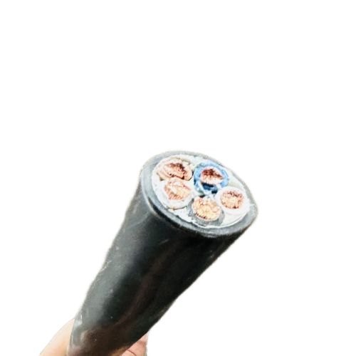 ����max(�й���)���޹�˾����