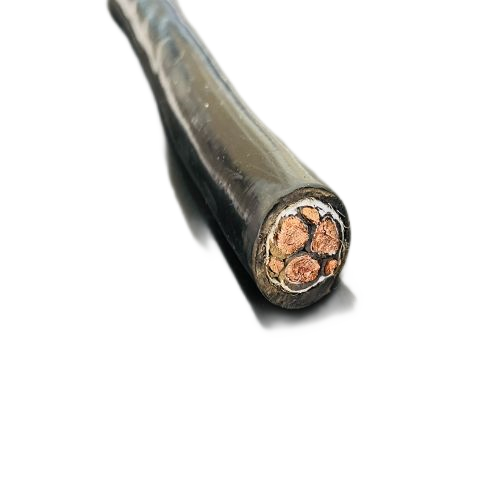 ����max(�й���)���޹�˾����