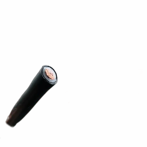 ����max(�й���)���޹�˾����