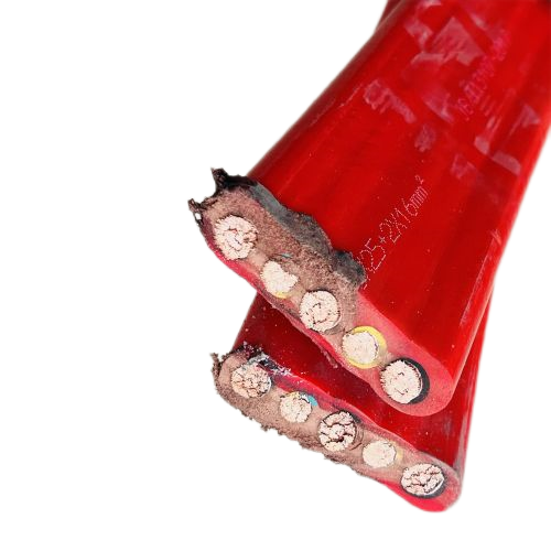 ����max(�й���)���޹�˾����