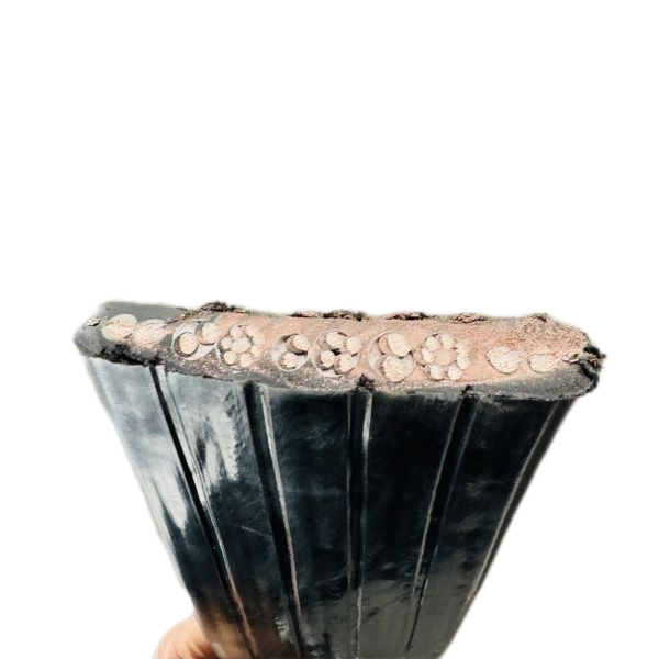 ����max(�й���)���޹�˾����