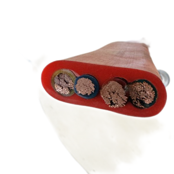 ����max(�й���)���޹�˾����