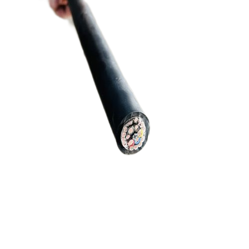 ����max(�й���)���޹�˾����