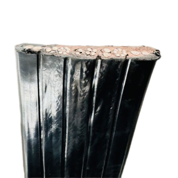 ����max(�й���)���޹�˾����