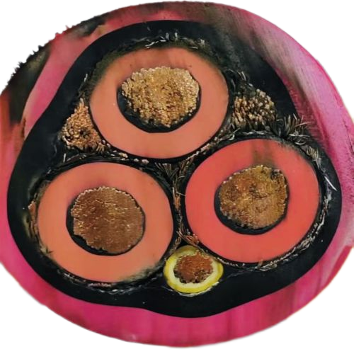 狗万·max(中国游)有限公司官网