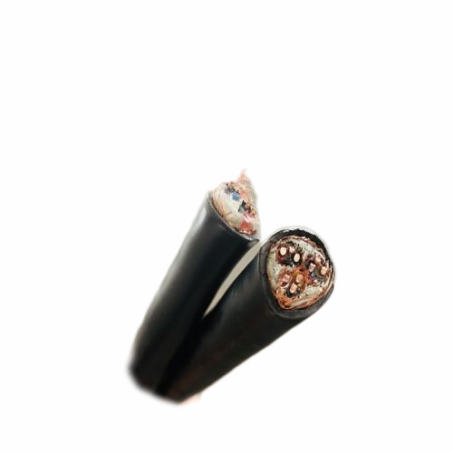 ����max(�й���)���޹�˾����