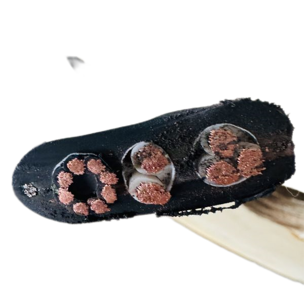 狗万·max(中国游)有限公司官网