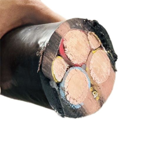 ����max(�й���)���޹�˾����