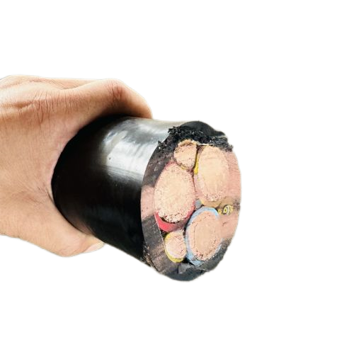 ����max(�й���)���޹�˾����