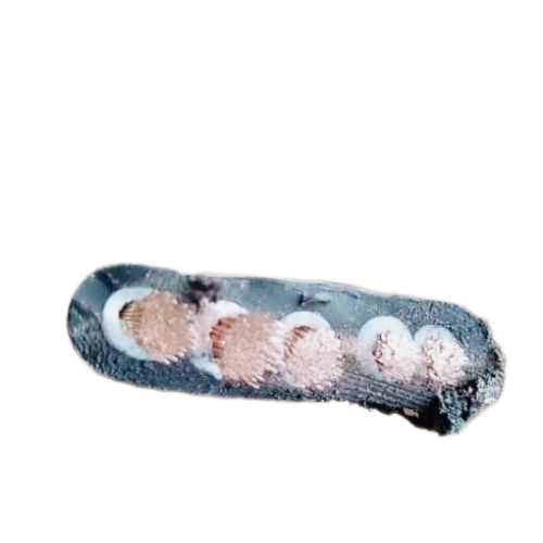 狗万·max(中国游)有限公司官网