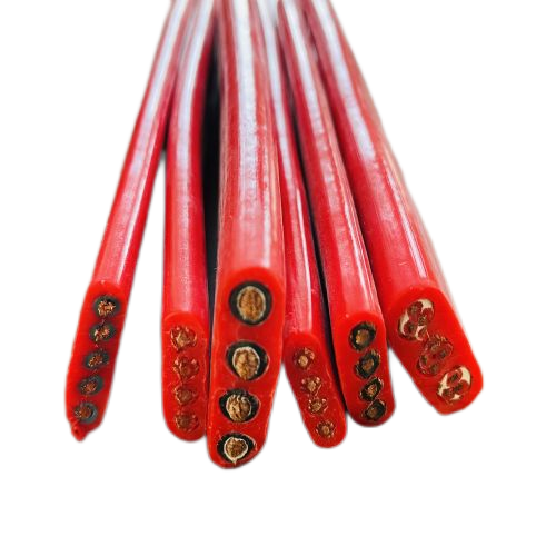 ����max(�й���)���޹�˾����