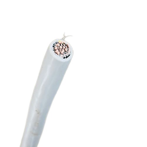 ����max(�й���)���޹�˾����