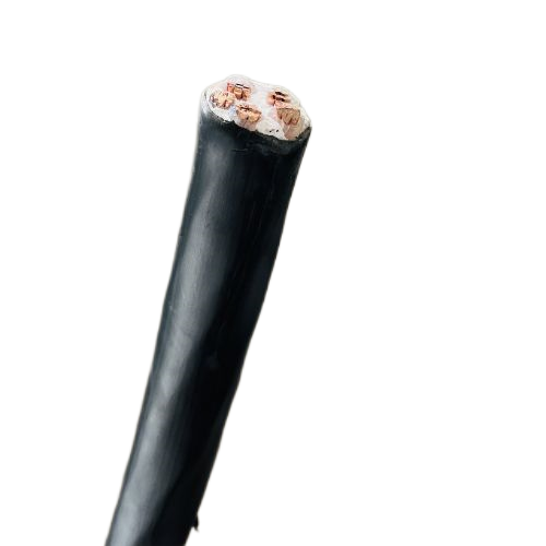 ����max(�й���)���޹�˾����