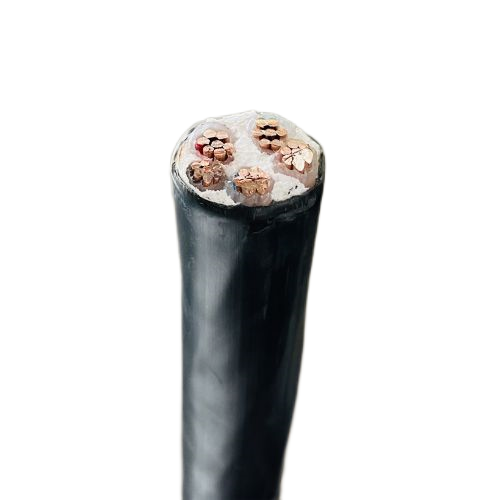 ����max(�й���)���޹�˾����