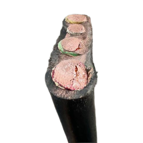 ����max(�й���)���޹�˾����