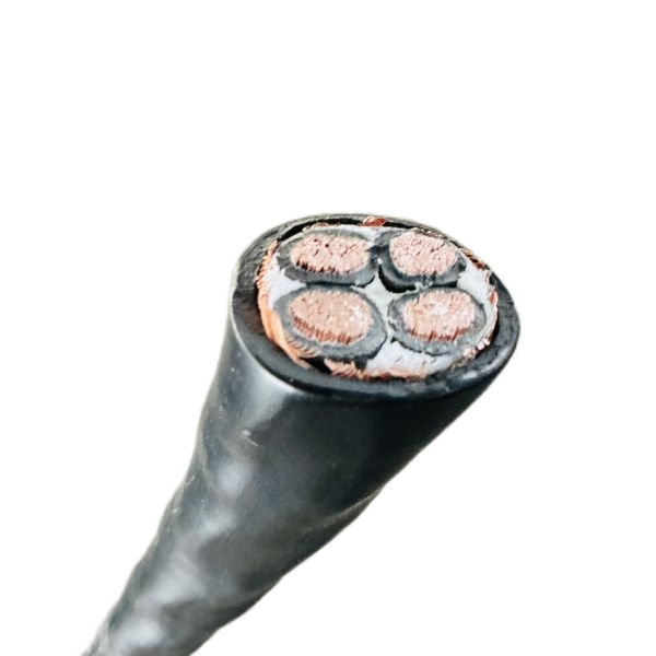 ����max(�й���)���޹�˾����