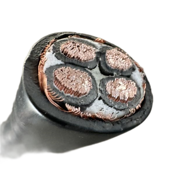 ����max(�й���)���޹�˾����