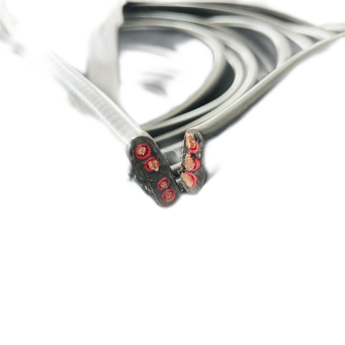 ����max(�й���)���޹�˾����