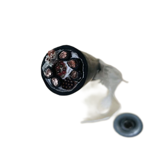 ����max(�й���)���޹�˾����