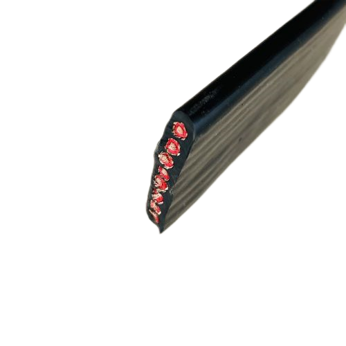 ����max(�й���)���޹�˾����