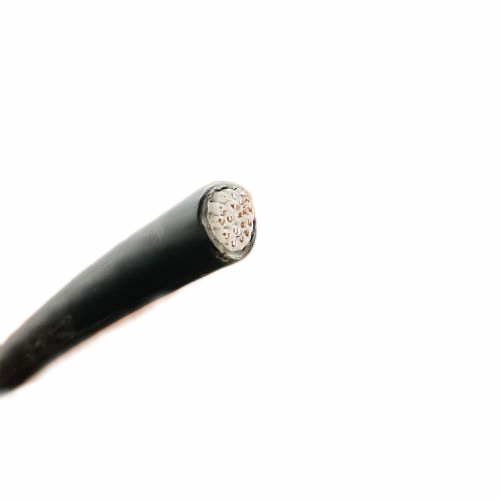 ����max(�й���)���޹�˾����