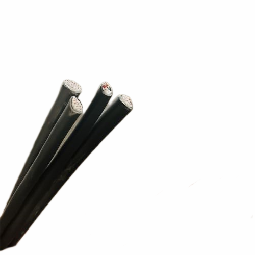 ����max(�й���)���޹�˾����