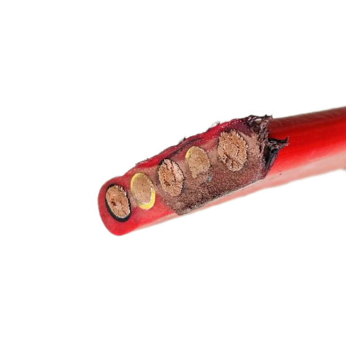 ����max(�й���)���޹�˾����