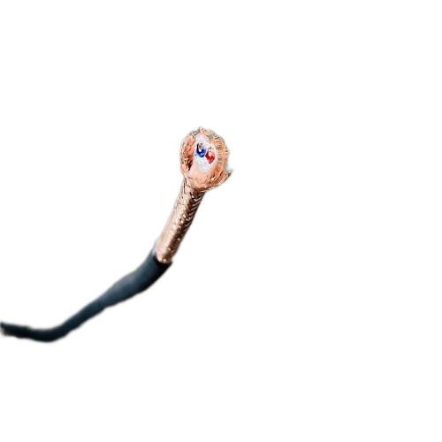 ����max(�й���)���޹�˾����