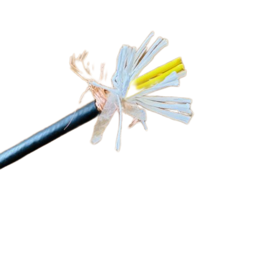 ����max(�й���)���޹�˾����