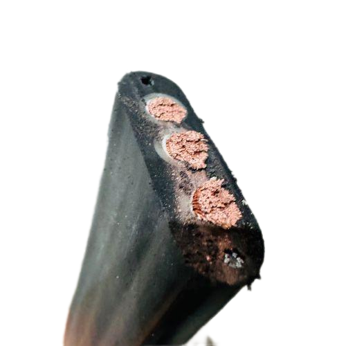 ����max(�й���)���޹�˾����