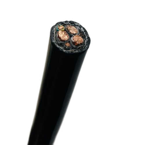 ����max(�й���)���޹�˾����