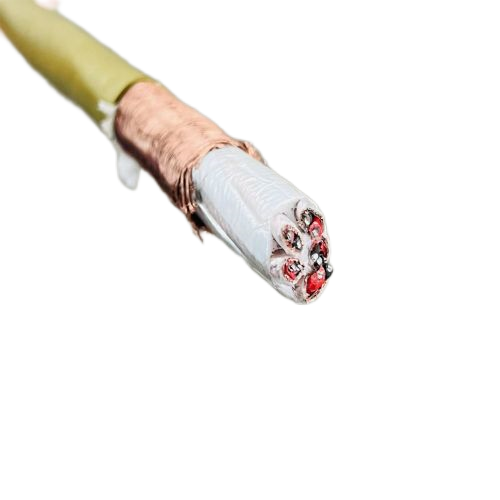 ����max(�й���)���޹�˾����