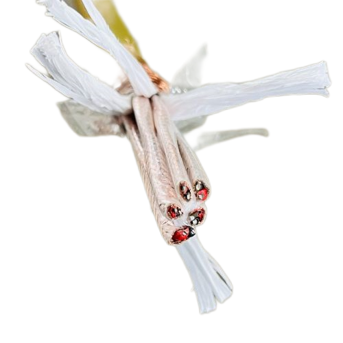 狗万·max(中国游)有限公司官网