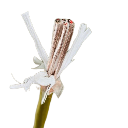 狗万·max(中国游)有限公司官网