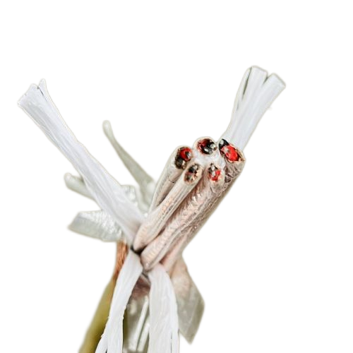 狗万·max(中国游)有限公司官网