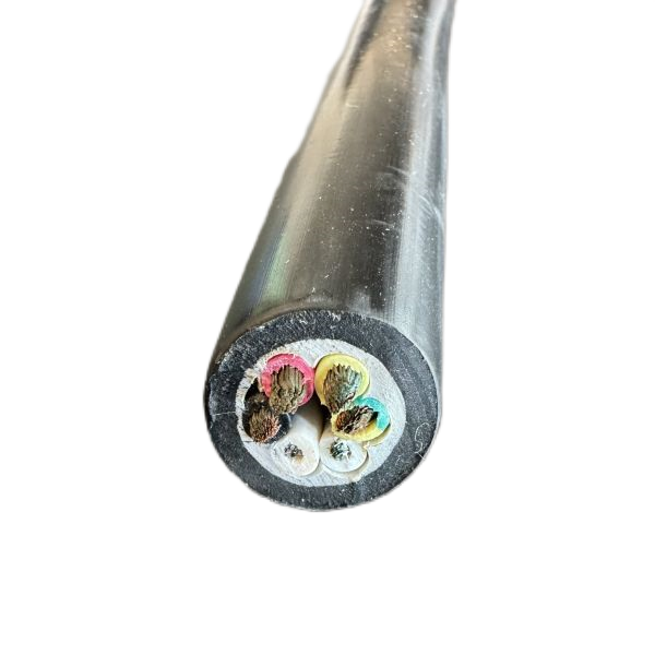 ����max(�й���)���޹�˾����